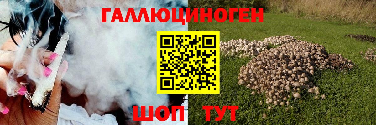 Галлюциногенные грибы мицелий  Псилоцибиновые грибы MAGIC MUSHROOMS  Вход с VPN  Донской 
