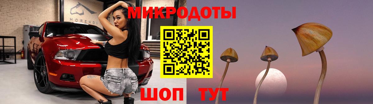 Галлюциногенные грибы Cubensis Донской